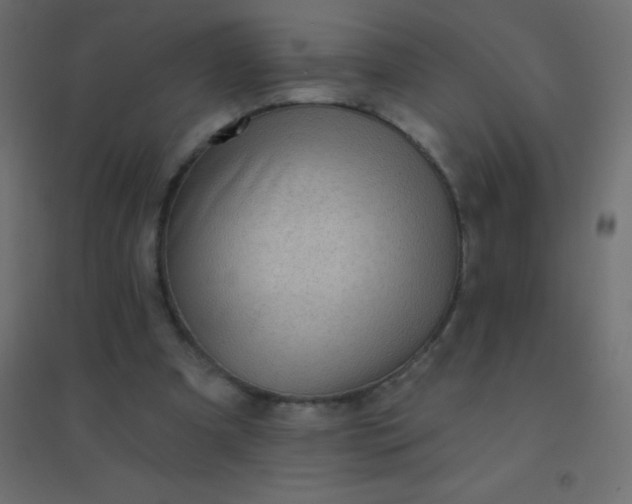 X0000094920297200712131521