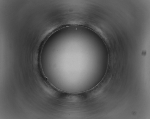 X0000094920299200712131521