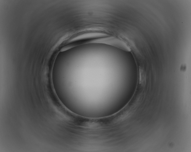 X0000094920300200712131521