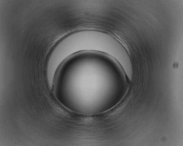 X0000094920301200712131521