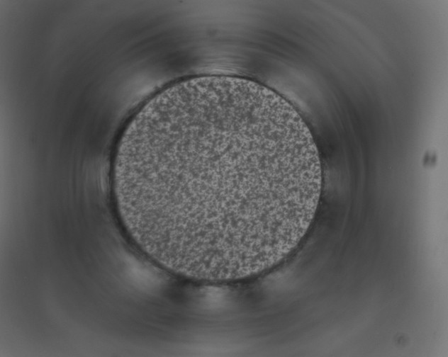 X0000094920302200712131521