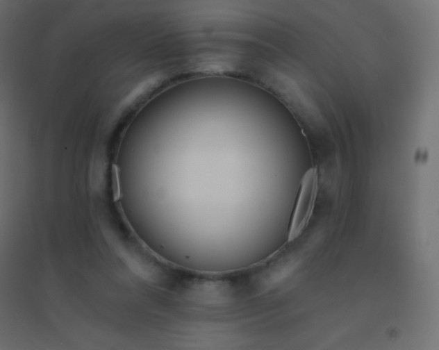 X0000094920304200712131520