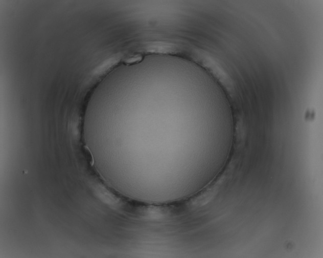 X0000094920305200712131520