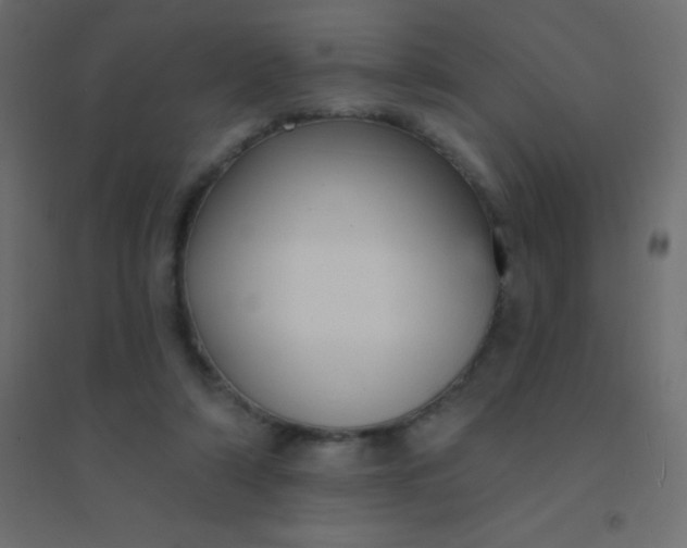 X0000094920306200712131520