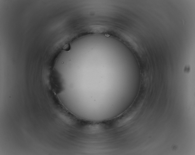 X0000094920307200712131520