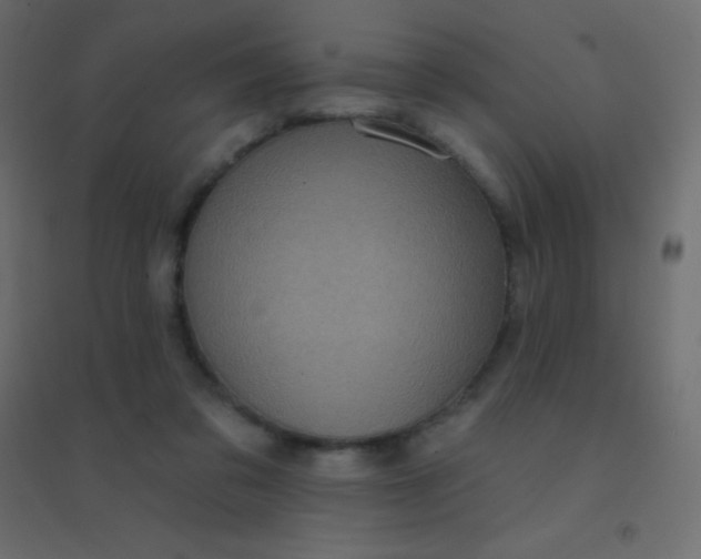 X0000094920309200712131520