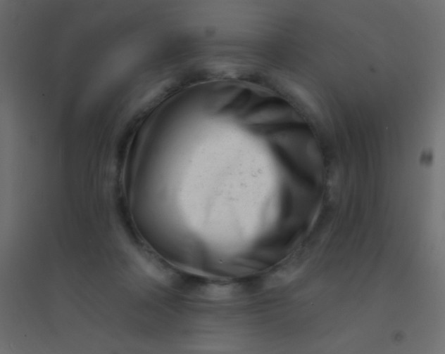 X0000094920314200712131520