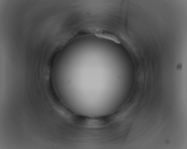 X0000094920315200712131520