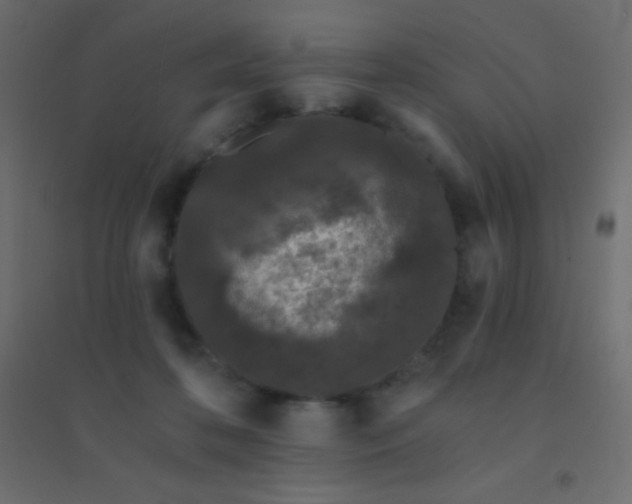 X0000094920316200712131520