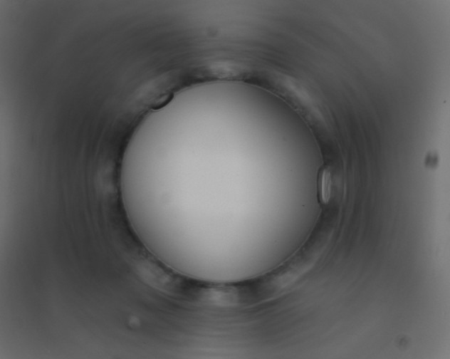 X0000094920317200712131520