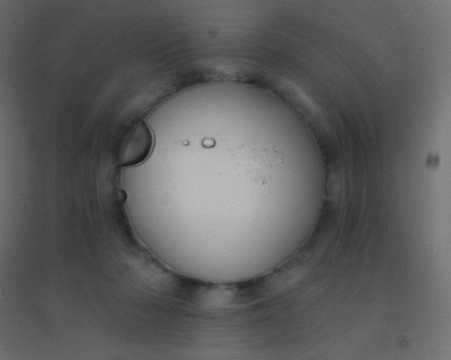 X0000094920318200712131520