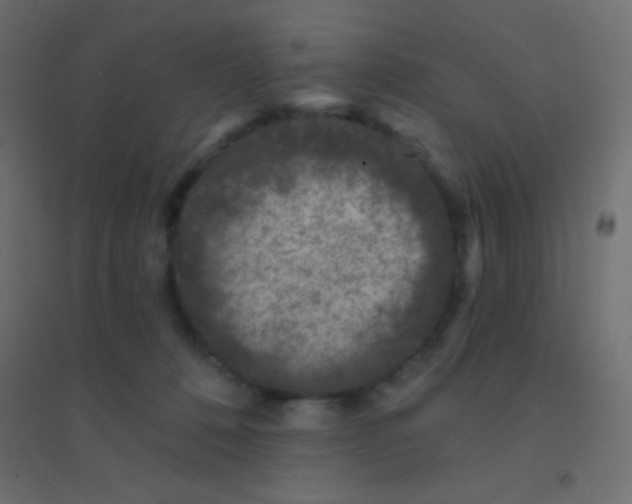 X0000094920320200712131520