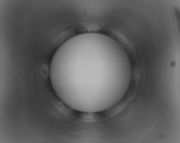 X0000094920321200712131520