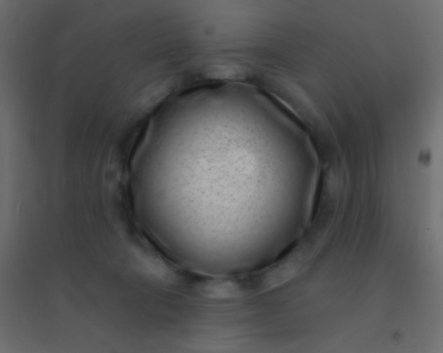 X0000094920322200712131520