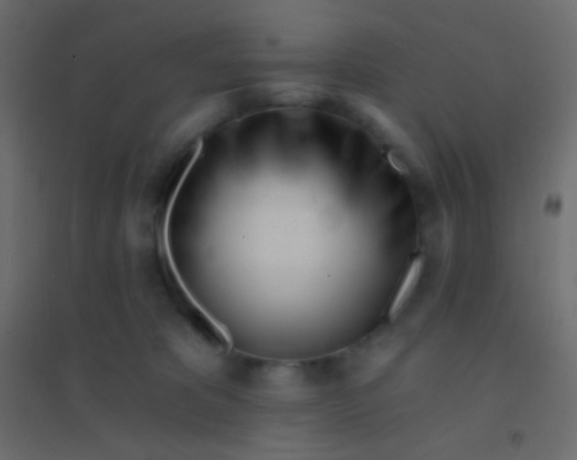 X0000094920325200712131520