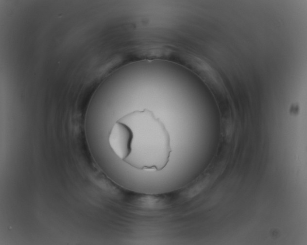 X0000094920326200712131520