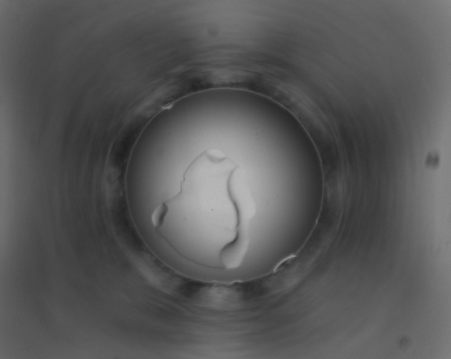 X0000094920327200712131520