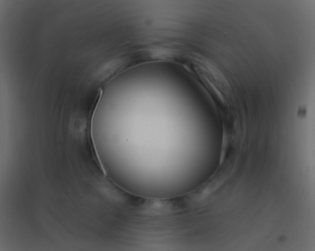 X0000094920329200712131520