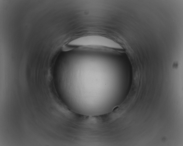 X0000094920330200712131520