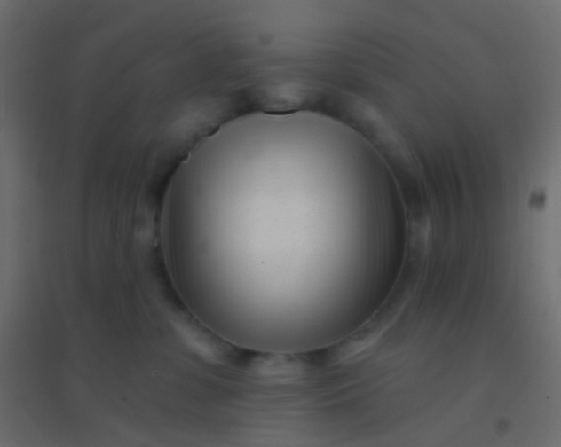 X0000094920331200712131520