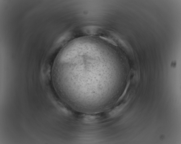 X0000094920332200712131520