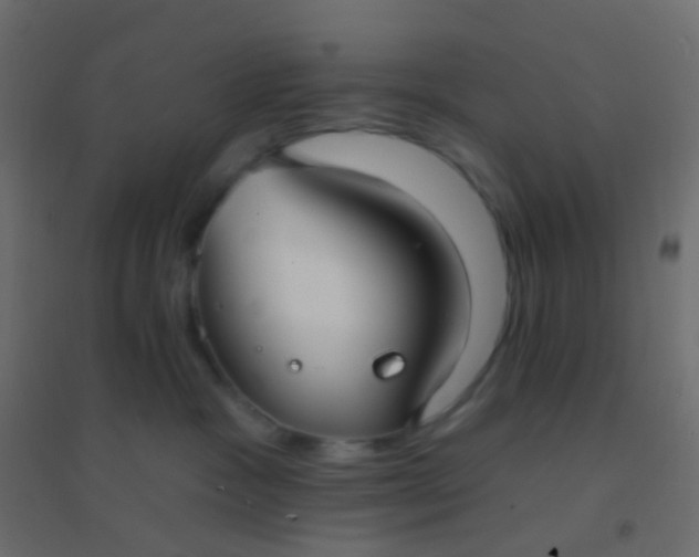 X0000094920333200712131520