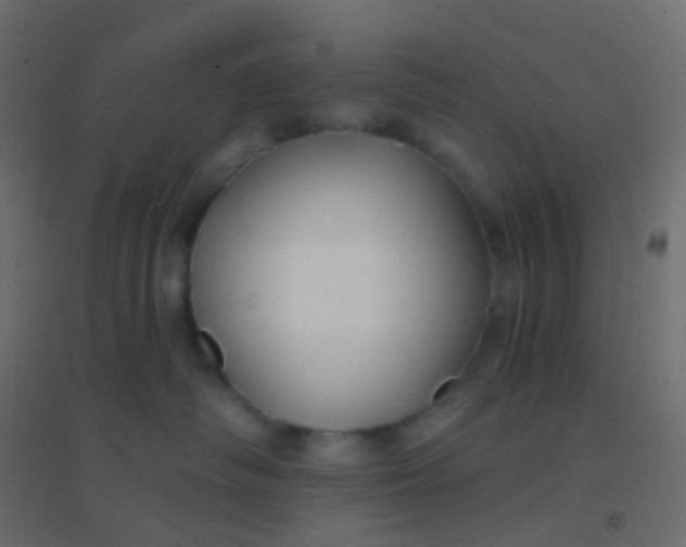 X0000094920334200712131520