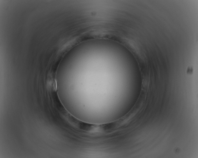 X0000094920335200712131520