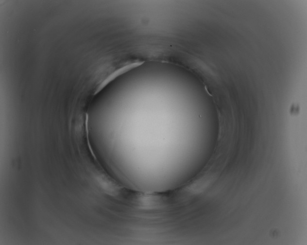 X0000094920336200712131520