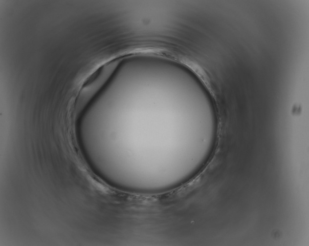 X0000094920337200712131519