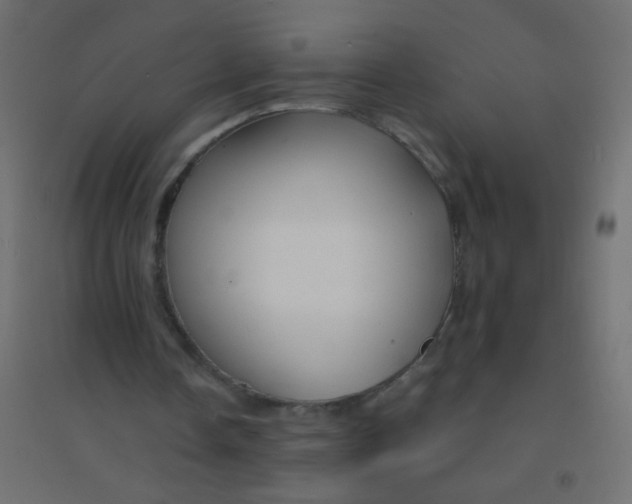 X0000094920338200712131519