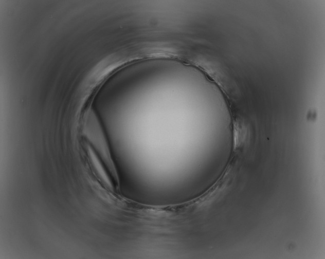 X0000094920339200712131519