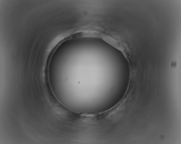 X0000094920340200712131519