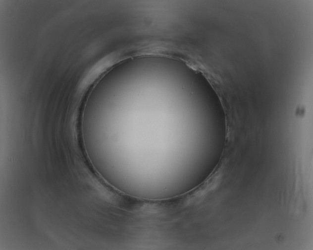 X0000094920341200712131519