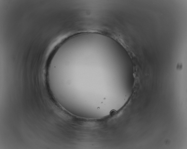 X0000094920342200712131519