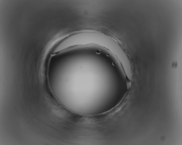 X0000094920343200712131519