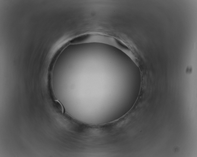 X0000094920344200712131519