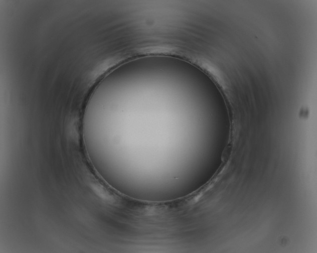 X0000094920345200712131519