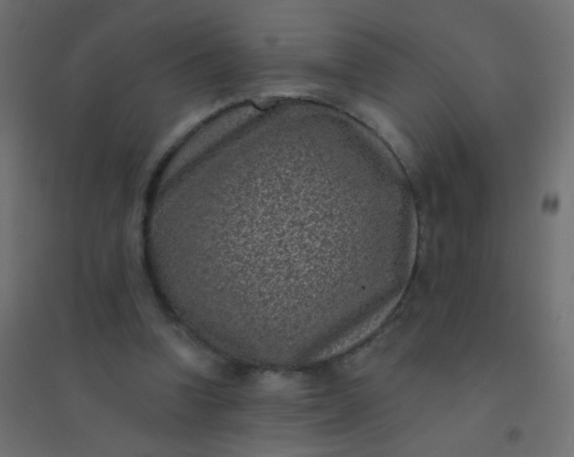 X0000094920346200712131519