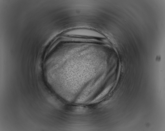 X0000094920347200712131519