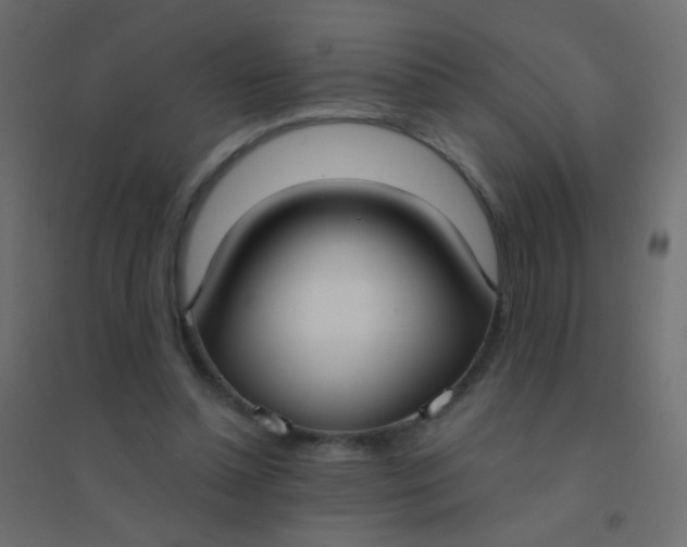 X0000094920348200712131519