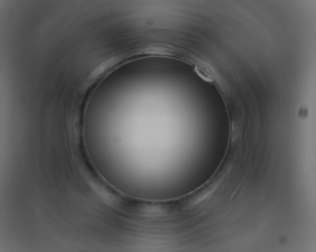 X0000094920349200712131519