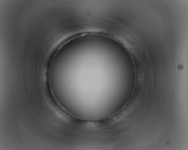 X0000094920350200712131520