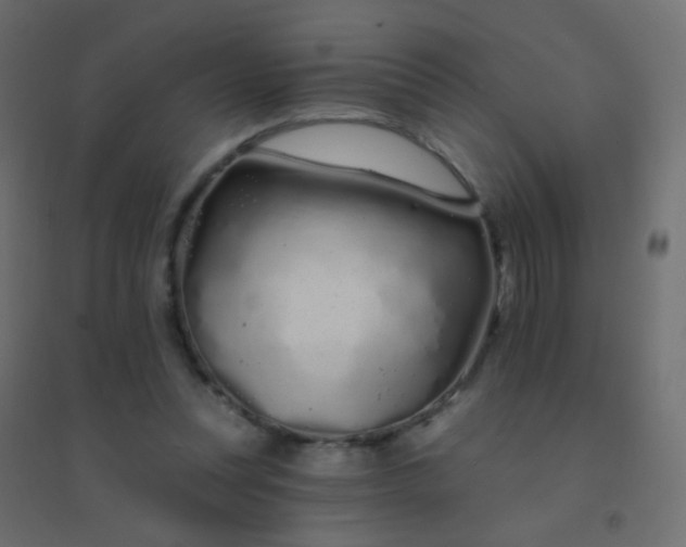 X0000094920351200712131520