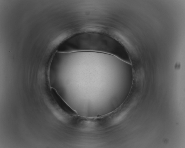 X0000094920352200712131520