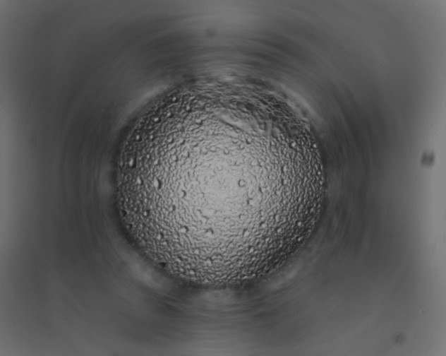 X0000094920353200712131520