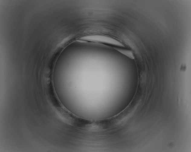 X0000094920356200712131520