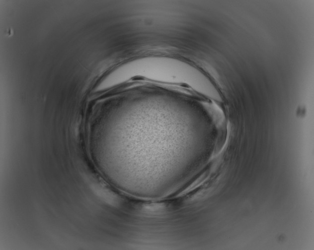 X0000094920357200712131520