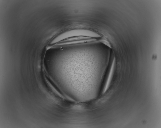 X0000094920358200712131520