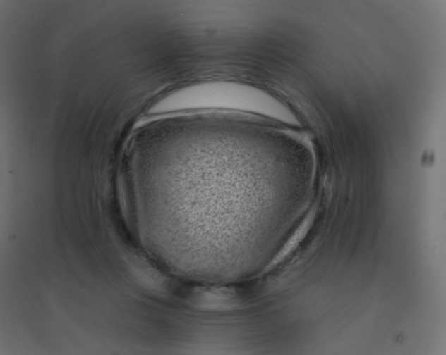 X0000094920359200712131520